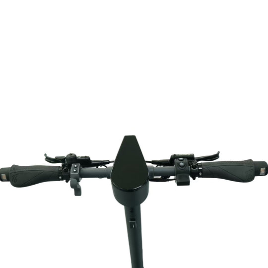 Trittbrett - E-Scooter - <BR> Der neue Paul