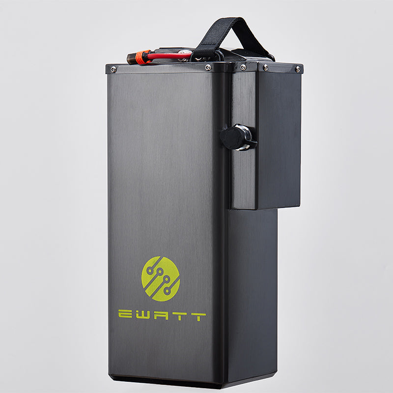 Batterie EWATT 60V 65Ah pour Light Bee