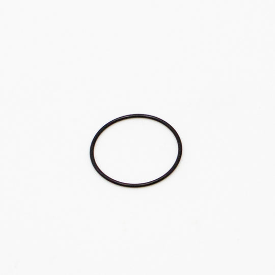 O-Ring für Light Bee & E Ride Pro SS