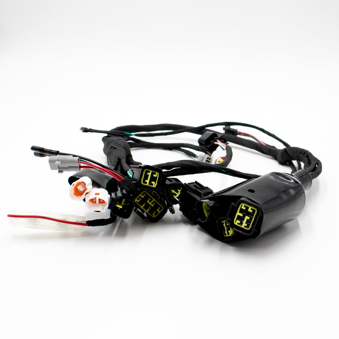 SURRON original wiring harness for Light Bee
